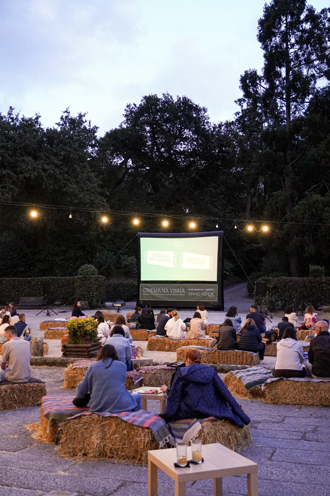 10.07_Cinema na Vinha-42